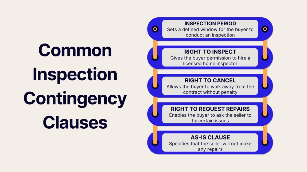 A graphic titled Common Inspection Contingency Clauses lists five clauses: Inspection Period, Right to Inspect, Right to Cancel, Right to Request Repairs, and As-Is Clause, each with a brief explanation.