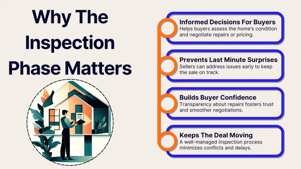 An infographic titled Why The Inspection Phase Matters lists four benefits: informed decisions for buyers, preventing last minute surprises, building buyer confidence, and keeping the deal moving. An illustration shows a person inspecting a house.